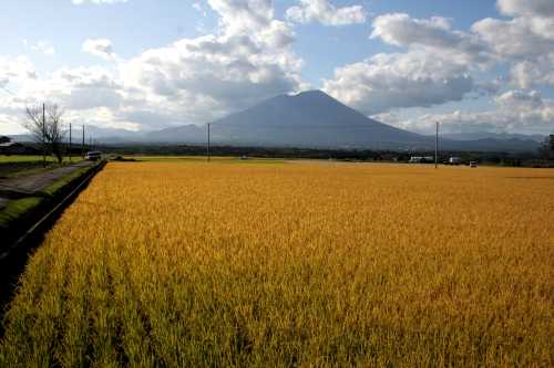 岩手山 門前寺柏木平 玉山区 盛岡市 岩手県