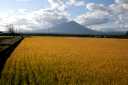 岩手山 門前寺柏木平 玉山区 盛岡市 岩手県