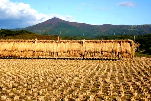 姫神山 門前寺柏木平 玉山区 盛岡市 岩手県