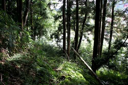 旧道復活地点 上田面 金田一 二戸市 岩手県