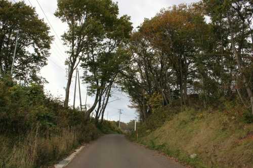 御堂・馬羽松（まはまつ）一里塚 一戸町・岩手町 岩手県