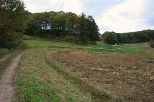 旧奥州街道 中山軽井沢 一戸町 二戸郡 岩手県