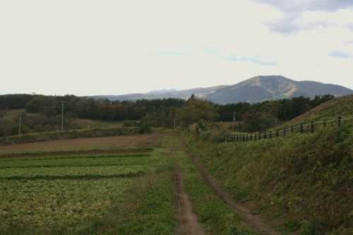 奥州街道最高地点付近展望 中山家向 一戸町 二戸郡 岩手県