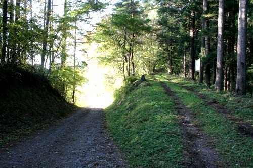 五月舘の追分石 小鳥谷若子 一戸町 二戸郡 岩手県