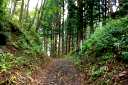 旧奥州街道浪打峠一里塚 一戸大越田/大道沢 一戸町 二戸郡 岩手県