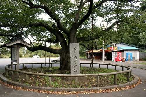 三戸城本丸跡 梅内城ノ下 三戸町 三戸郡 青森県