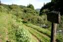 旧奥州街道（左） 小向正寿寺 南部町 三戸郡 青森県