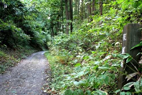 旧奥州街道・鞍越坂 浅水狐久保/扇田扇田 五戸町 三戸郡 青森県