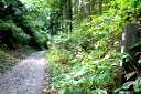 旧奥州街道・鞍越坂 浅水狐久保/扇田扇田 五戸町 三戸郡 青森県