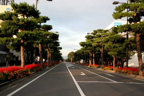 官庁街通り 西十三番町 十和田市 青森県