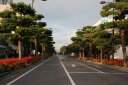 官庁街通り 西十三番町 十和田市 青森県