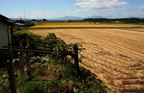 中川原 藤島 十和田市 青森県