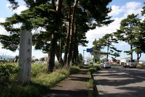 松並木 池ノ平 大沢田 十和田市 青森県