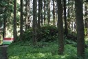 池ノ平（いけのたい）一里塚 池ノ平 大沢田 十和田市 青森県