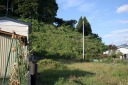旧道途絶先 倉越 七戸町 上北郡 青森県