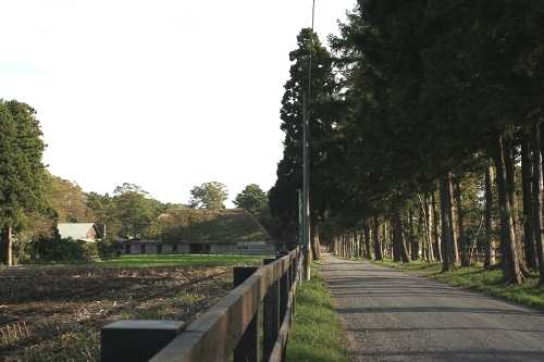 盛田牧場 膝森 七戸町 上北郡 青森県