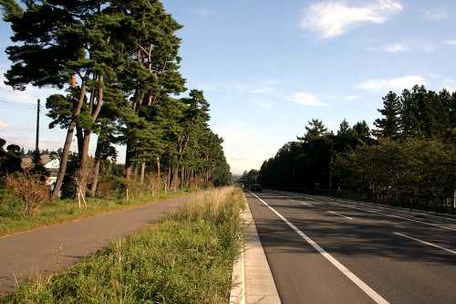 松並木 野崎狐久保/大沢 七戸町 上北郡 青森県