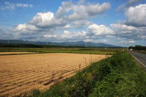 旧奥州街道 猪ノ鼻 七戸町 上北郡 青森県