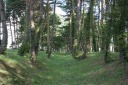 旧奥州街道 卒古沢 七戸町 上北郡 青森県