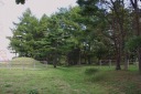 蒼前平一里塚 卒古沢 七戸町 上北郡 青森県
