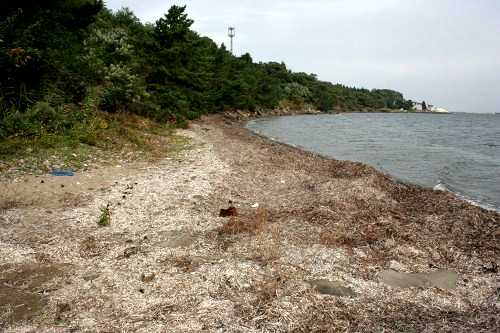 旧奥州街道跡 狩場沢関口 平内町 東津軽郡 青森県