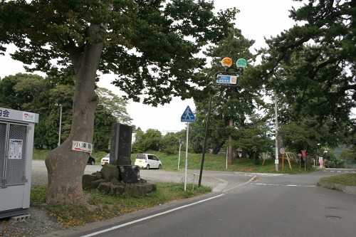 御家中の松と欅 小湊小湊 平内町 東津軽郡 青森県