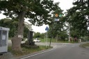 御家中の松と欅 小湊小湊 平内町 東津軽郡 青森県