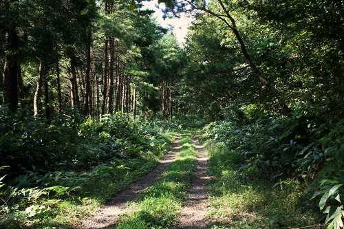 旧奥州街道 坊ノ塚 野辺地町 上北郡 青森県