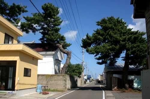 野田鳴川 平舘 外ヶ浜町 東津軽郡 青森県