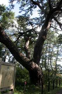 田の沢 平舘 外ヶ浜町 東津軽郡 青森県
