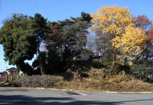 不動山古墳 綿貫町 高崎市 群馬県