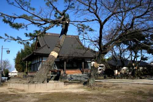 常楽寺 五料 玉村町 佐波郡 群馬県