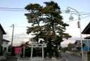 一本松稲荷 境下武士 伊勢崎市 群馬県