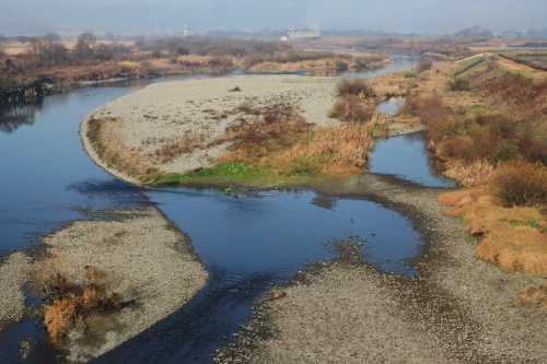 渡良瀬川 川崎町 足利市 栃木県