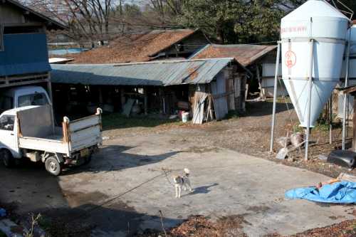 畜産家 寺岡町 足利市 栃木県