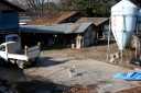 畜産家 寺岡町 足利市 栃木県
