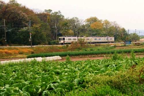 上越線 大久保 吉岡町 北群馬郡 群馬県