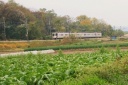 上越線 大久保 吉岡町 北群馬郡 群馬県