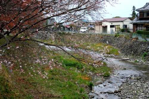 滝沢川 八木原 渋川市 群馬県