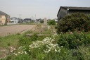 土山 平岡町 加古川市