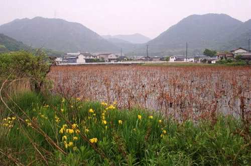 小林池 北宿 別所町 姫路市