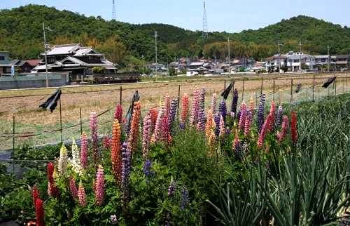新在家 揖保川町 たつの市