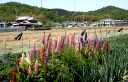 新在家 揖保川町 たつの市
