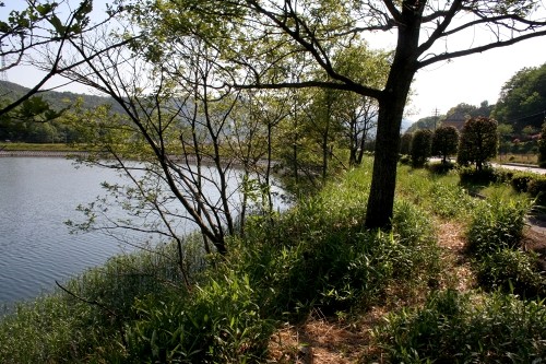 大池 東片上 備前市 岡山県
