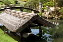 沢の池 後楽園 岡山市北区 岡山県