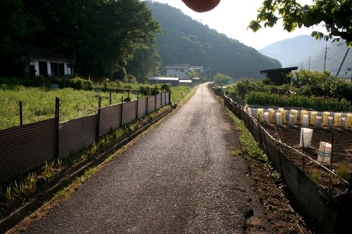 旧山陽道 東三成 矢掛町 小田郡 岡山県