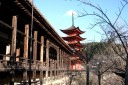 五重塔 宮島町 廿日市市 広島県