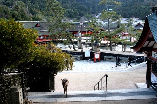 厳島神社 宮島町 廿日市市 広島県