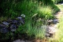 渡し場史蹟 木野１丁目 大竹市 広島県