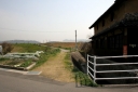 芦田川船渡し跡 郷分町 福山市 広島県
